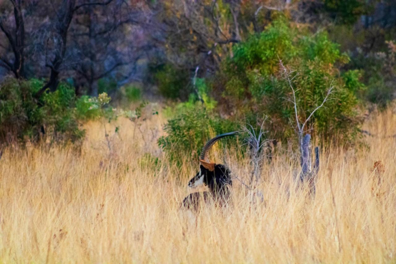 Fumani Game Lodge Modimolle Eksteriør billede